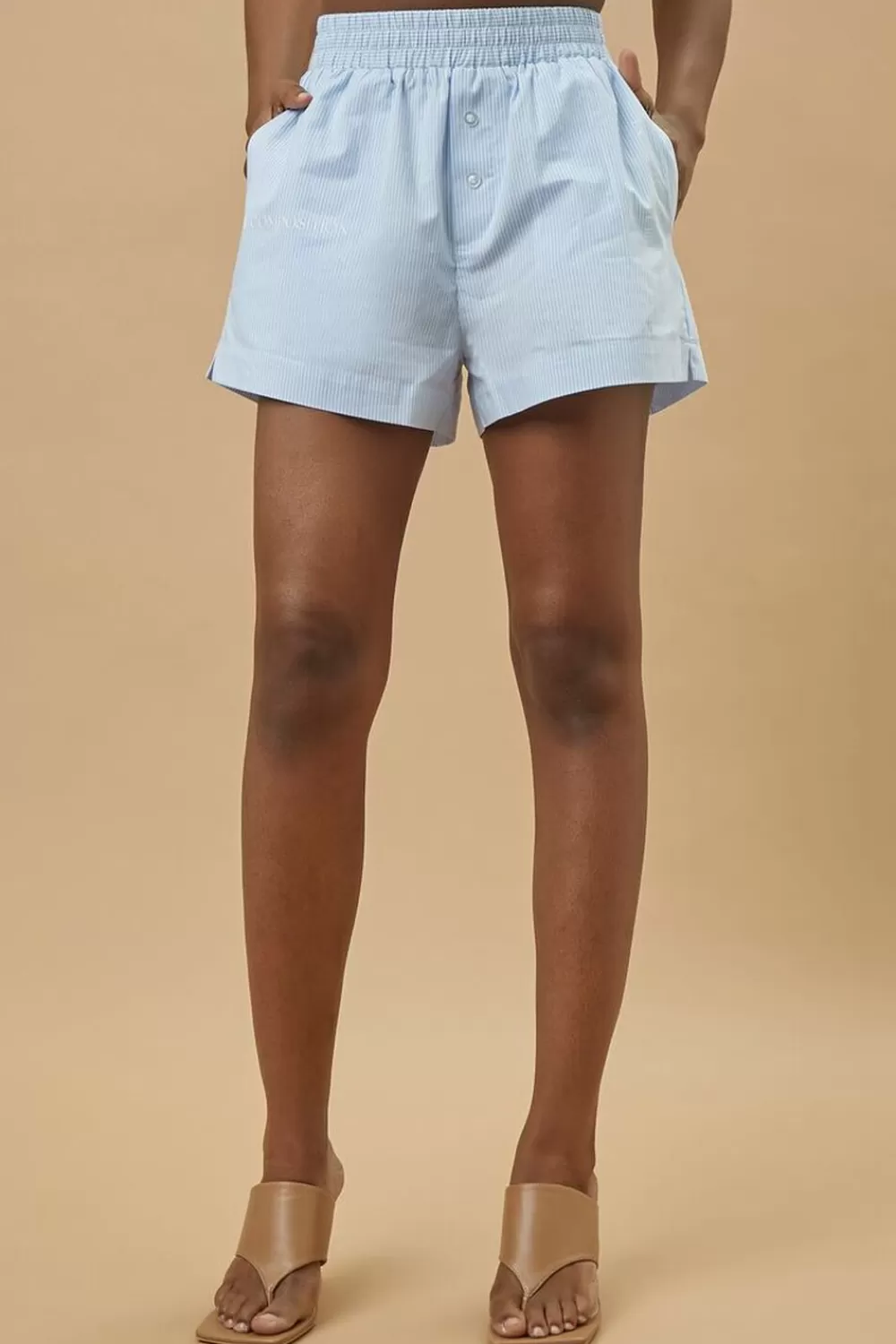 Bottoms>Forever 21 Henry R Jones Ii Pinstriped Shorts Blue/Multi